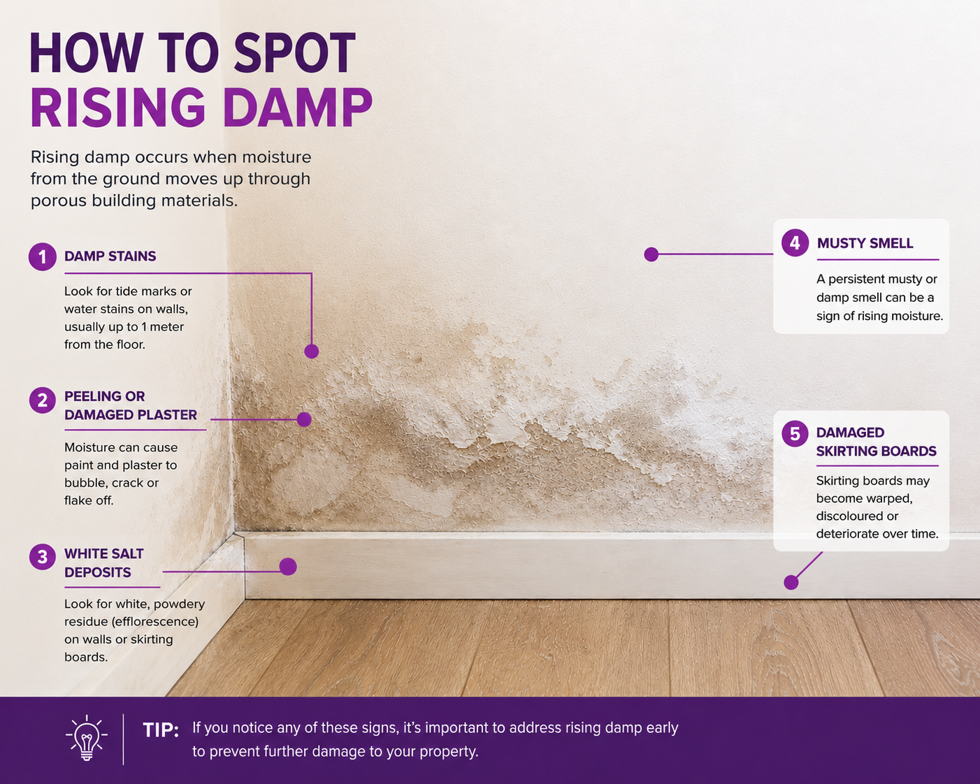 How to Identify Rising Damp in Your Home