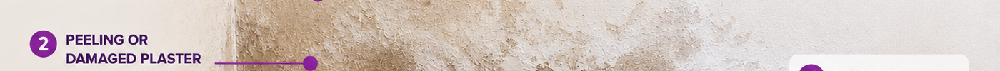 How to Identify Rising Damp in Your Home